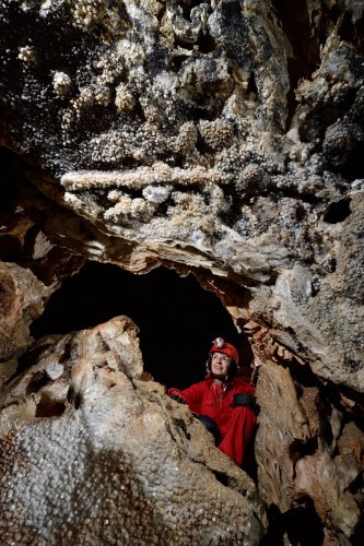 Grotte du Sud de l'Arizona (USA) - Cristaux de calcite en dent de cochon dans une galerie (SP-20-0233)